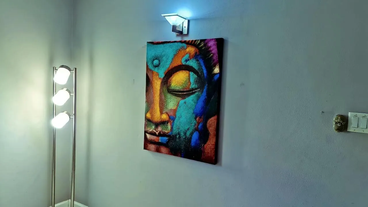 Casa Alexandria Guest Apartment كينغستون