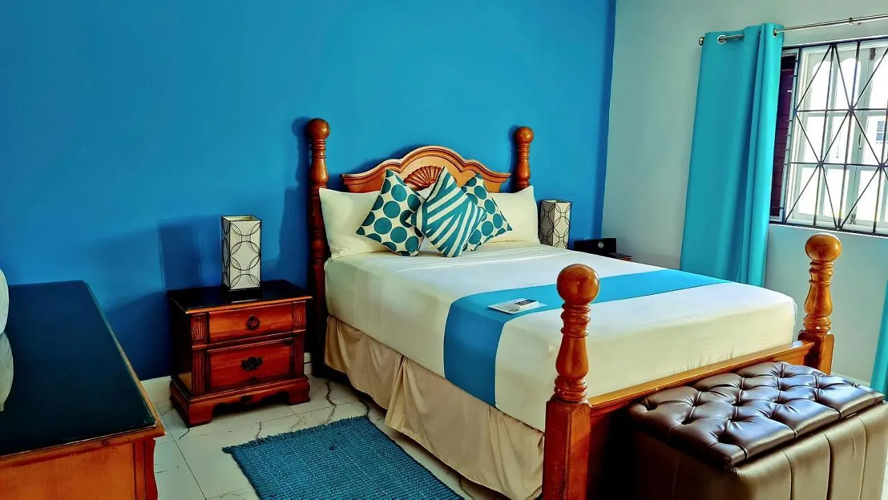 Casa Alexandria Guest Apartment كينغستون