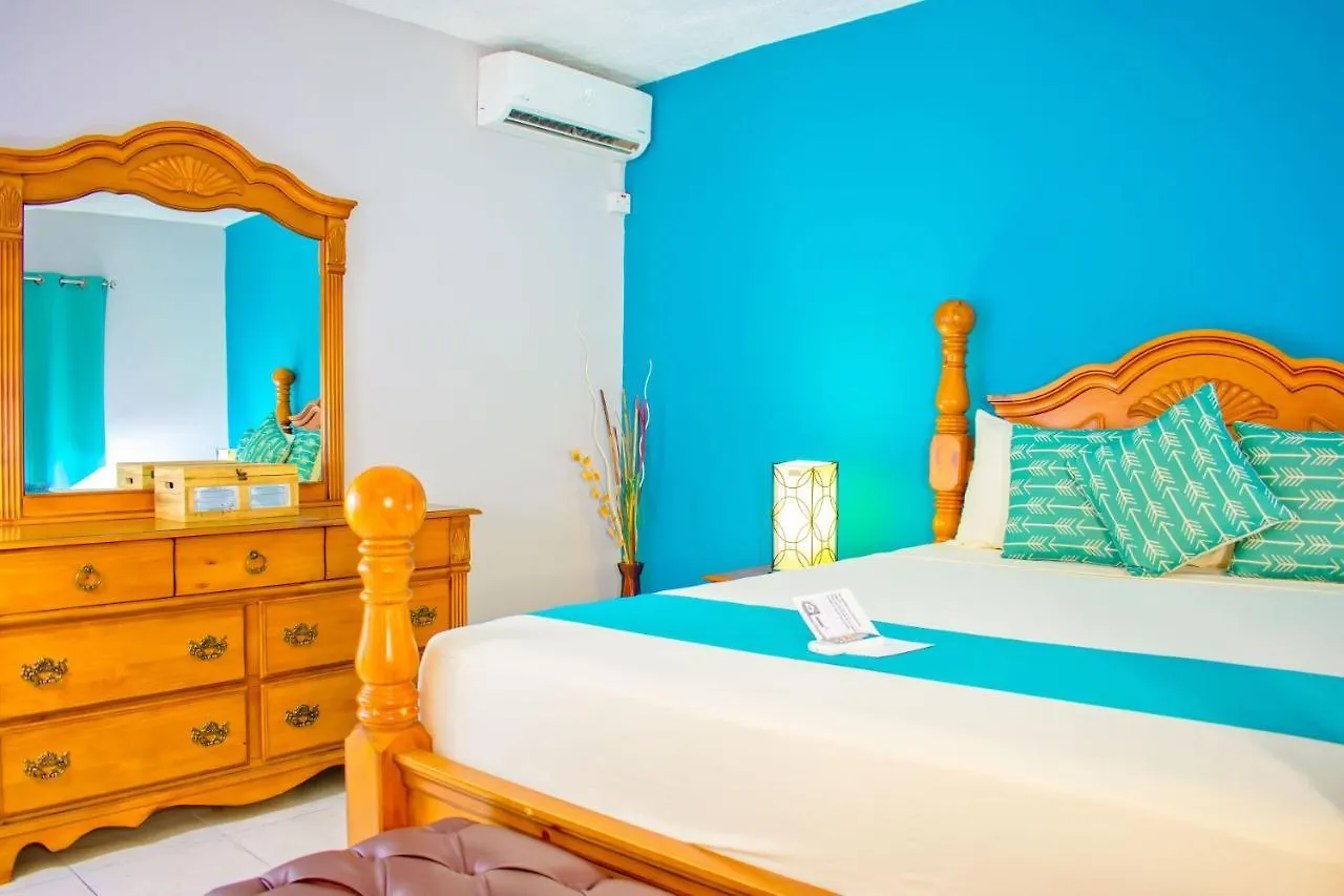 Casa Alexandria Guest Apartment كينغستون