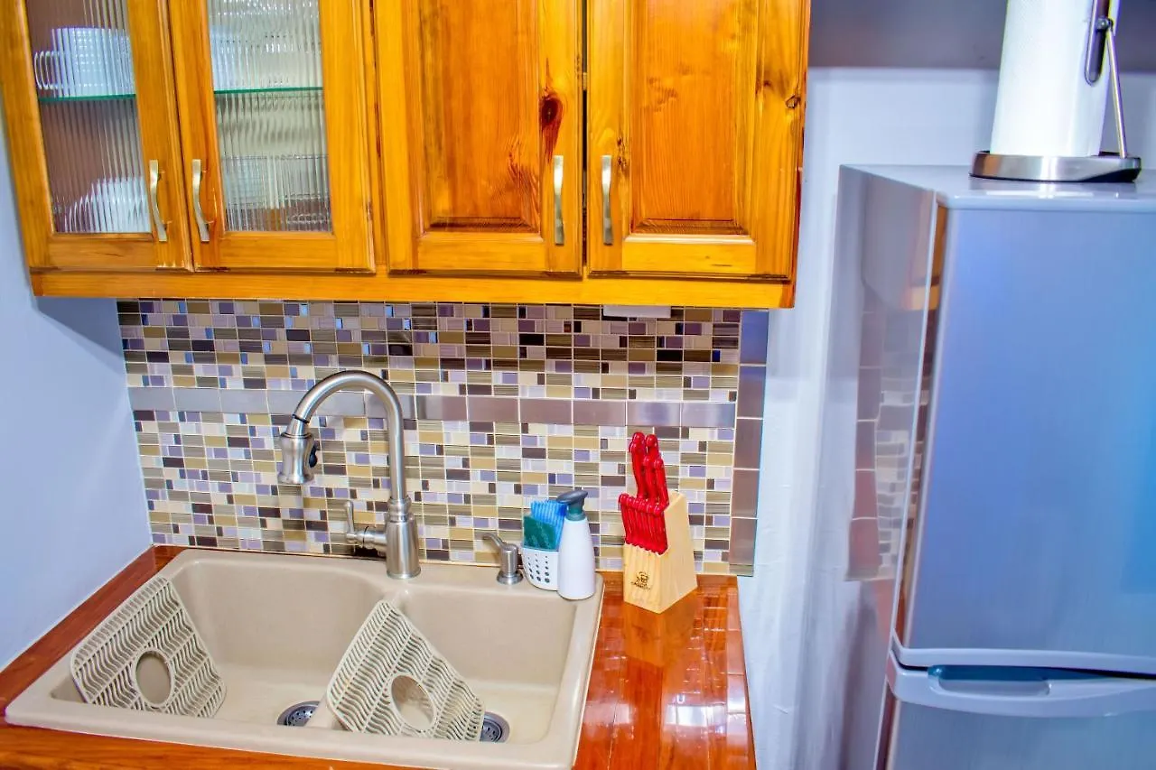 Casa Alexandria Guest Apartment كينغستون جامايكا
