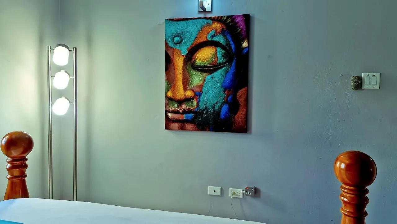 Casa Alexandria Guest Apartment كينغستون