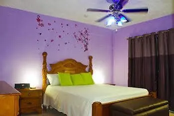 Casa Alexandria Guest Apartment كينغستون