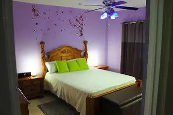 Casa Alexandria Guest Apartment كينغستون