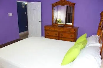 Casa Alexandria Guest Apartment كينغستون 0*,