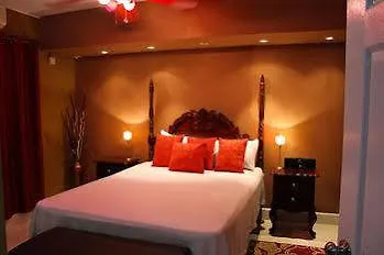 Casa Alexandria Guest Apartment كينغستون