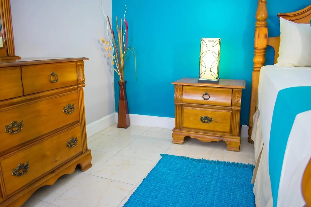 Casa Alexandria Guest Apartment كينغستون