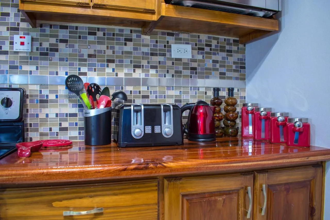 Casa Alexandria Guest Apartment كينغستون