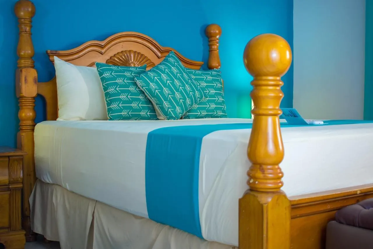 Casa Alexandria Guest Apartment كينغستون جامايكا