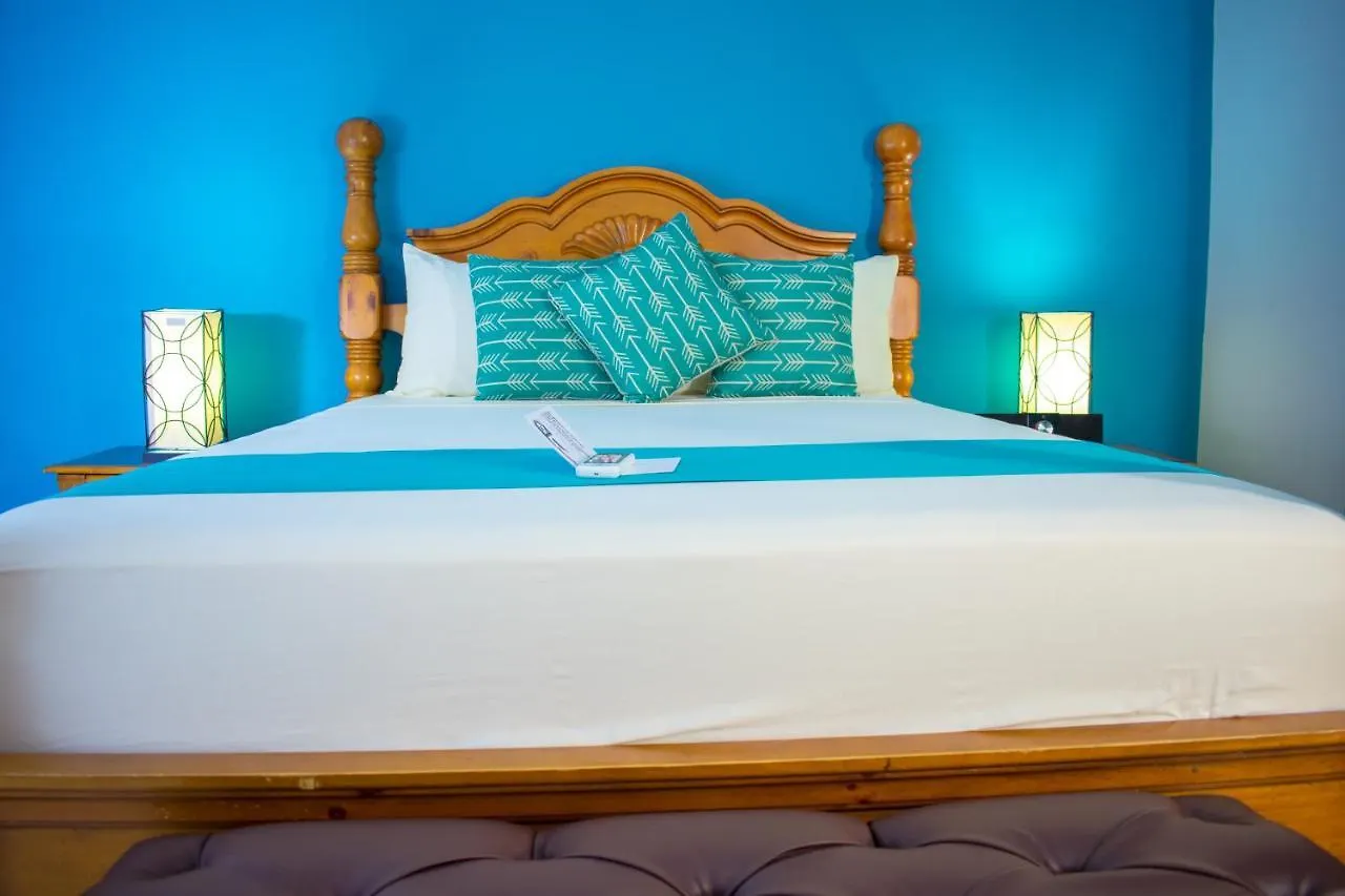 Casa Alexandria Guest Apartment كينغستون